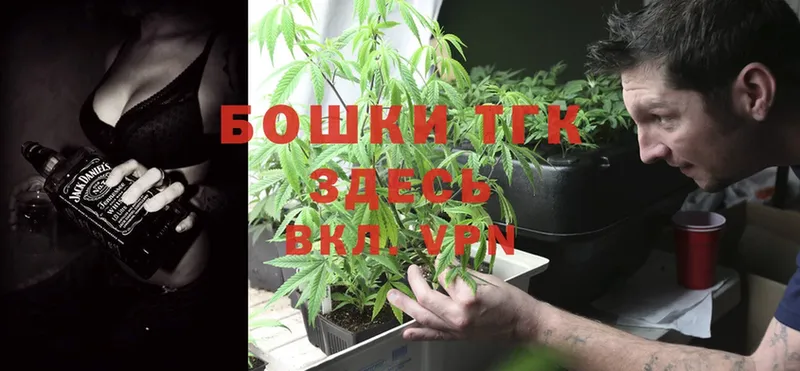 Каннабис SATIVA & INDICA  Новокубанск 